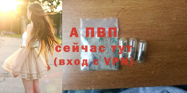 ешки Арсеньев