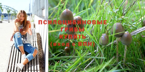 кокс Армянск