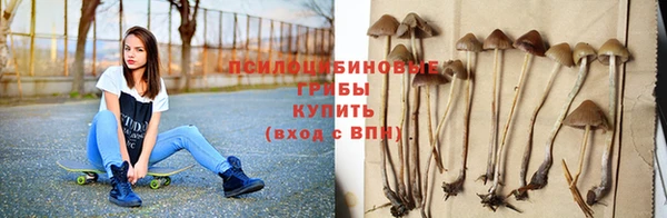 мдпв Пестово