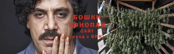 ешки Арсеньев
